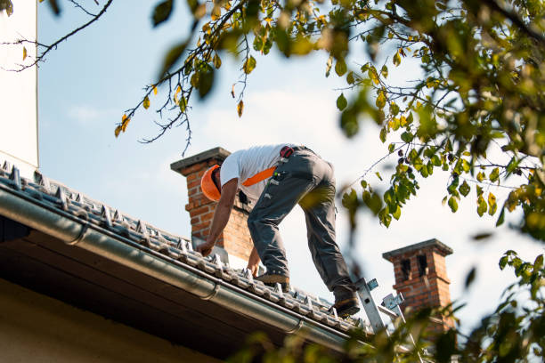 Best Storm Damage Roof Repair  in Jamestown, NY