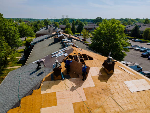 Roof Gutter Cleaning in Jamestown, NY