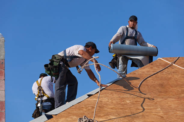 Best Sealant for Roof  in Jamestown, NY