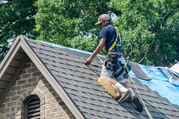 Residential Roof Replacement in Jamestown, NY