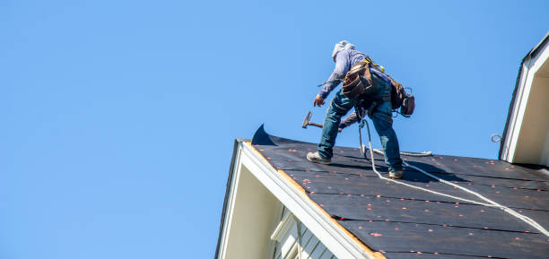 Best Roof Gutter Cleaning  in Jamestown, NY